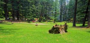 चकराता के मुख्य पर्यटन स्थल | 10 Best Places to Visit Chakrata in Hindi 2025 kanasar chakrata