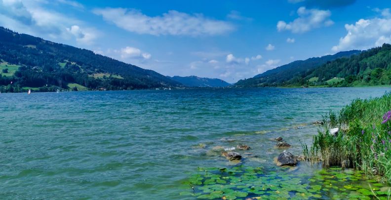 Chamoli District Uttarakhand | Best Place to Visit in in Hindi | 2025 | चमोली उत्तराखंड tehri dem