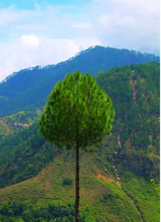 बागेश्वर उत्तराखंड | Bageshwar ke Parytan Sthal | 2025 Bageshwar ke Parytan Sthal